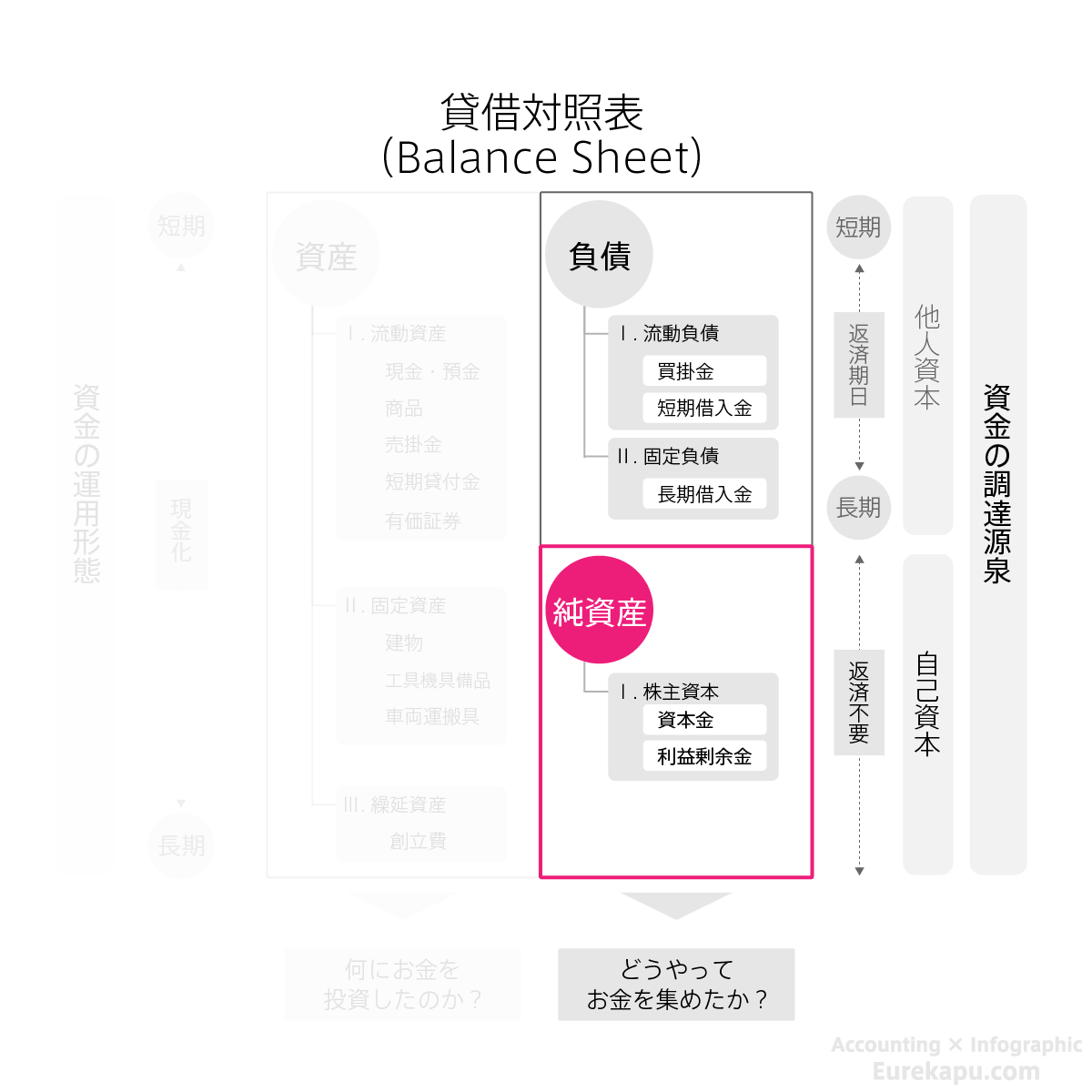 貸借対照表の右側、純資産を詳細に説明した図です